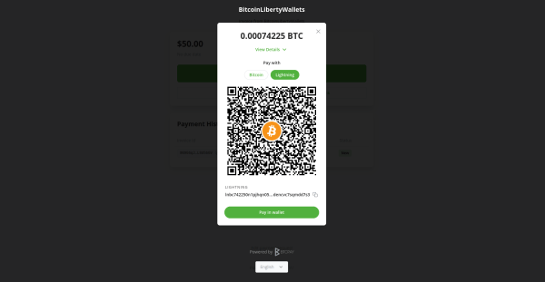 Bitcoin Full Node Server